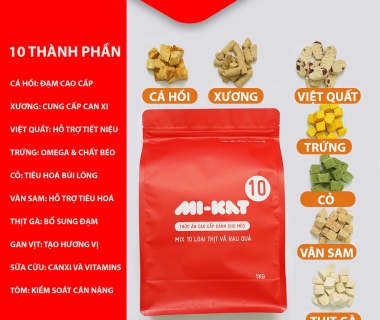 Hỗ trợ cộng đồng thú cưng tại các trung tâm cứu hộ