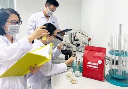 Pate MI-KAT – Bữa Ăn Mềm Mại & Ngon Miệng Cho Mèo