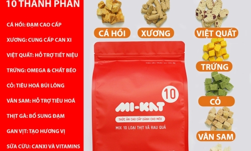 Hỗ trợ cộng đồng thú cưng tại các trung tâm cứu hộ