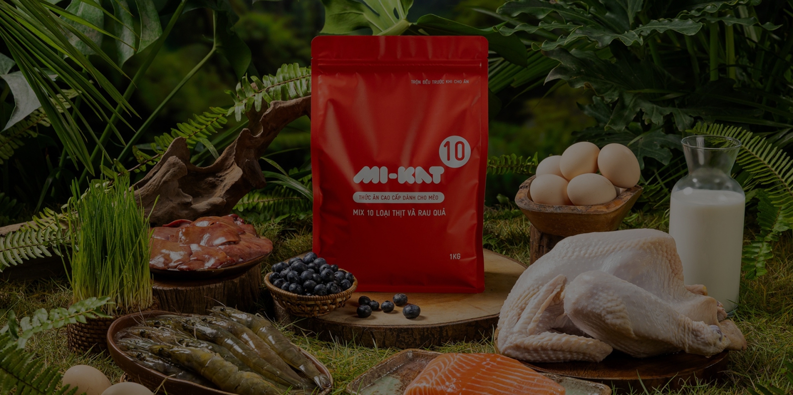 Hệ thống phân phối